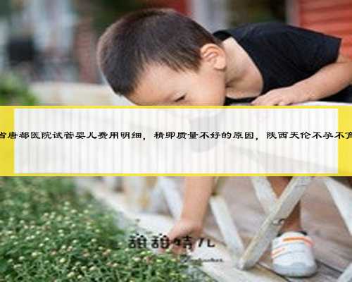 陕西省唐都医院试管婴儿费用明细，精卵质量不好的原因，陕西天伦不孕不育医