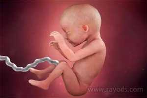 西安代孕哪里人多，详细的西安第三代试管婴儿流程
